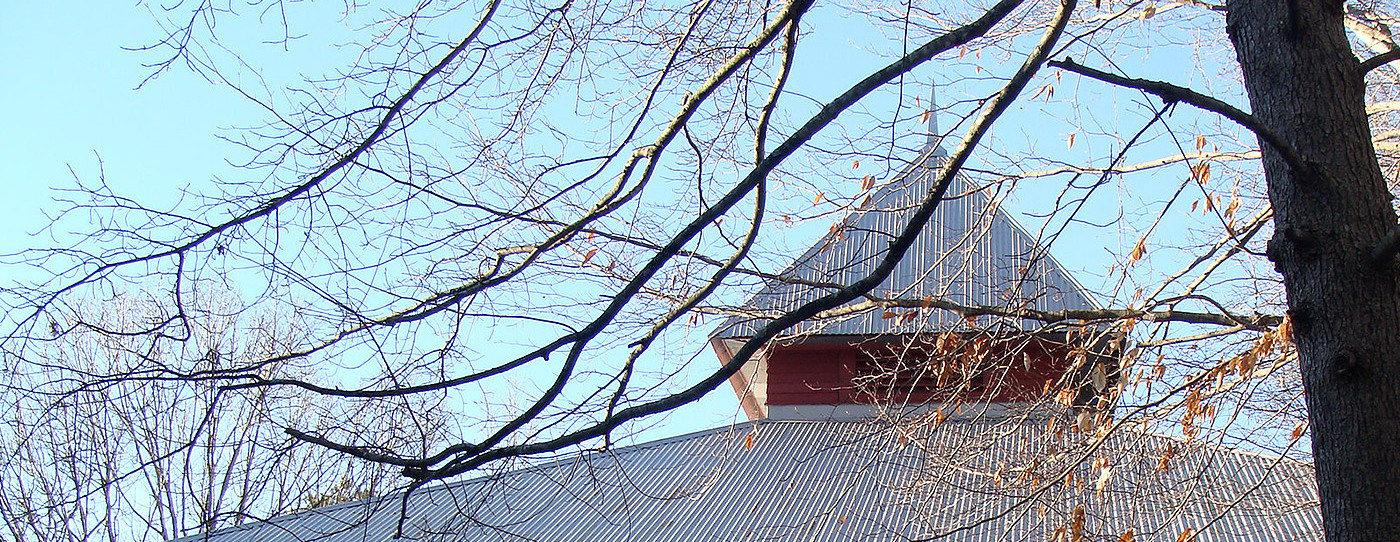 Elachee Adventure After Dark Guided Hike